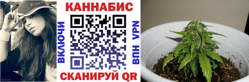 Где купить наркотики Тихвин Альфа ПВП  Галлюциногенные грибы  Кокаин  МЕФ  АМФ  Гашиш  Конопля 