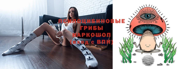 ГАЛЛЮЦИНОГЕННЫЕ ГРИБЫ Бородино