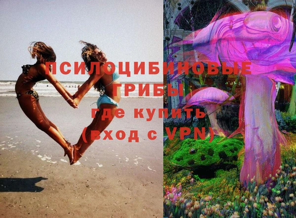твердый Бронницы