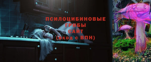 ГАЛЛЮЦИНОГЕННЫЕ ГРИБЫ Бородино