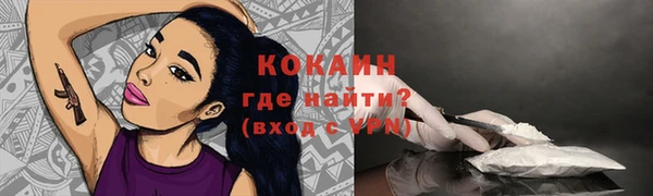 дживик Бугульма