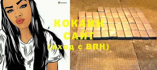 ГАЛЛЮЦИНОГЕННЫЕ ГРИБЫ Бородино
