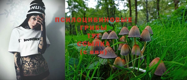 ГАЛЛЮЦИНОГЕННЫЕ ГРИБЫ Бородино