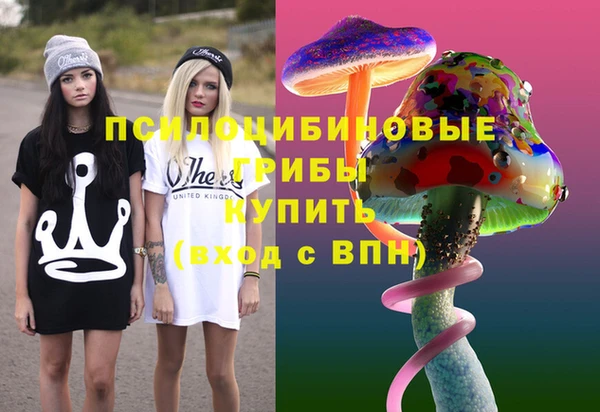 ГАЛЛЮЦИНОГЕННЫЕ ГРИБЫ Бородино