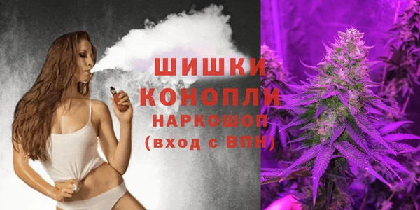 ГАЛЛЮЦИНОГЕННЫЕ ГРИБЫ Бородино