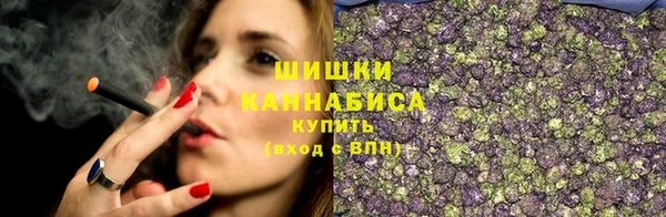 твердый Бронницы