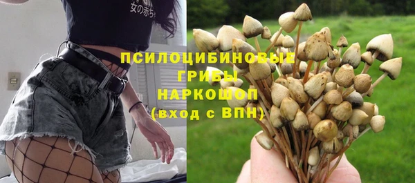 ГАЛЛЮЦИНОГЕННЫЕ ГРИБЫ Бородино