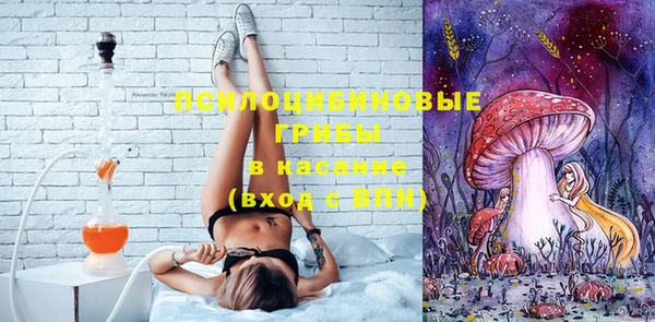 ГАЛЛЮЦИНОГЕННЫЕ ГРИБЫ Бородино