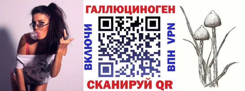 где купить Тихвин Галлюциногенные грибы мицелий